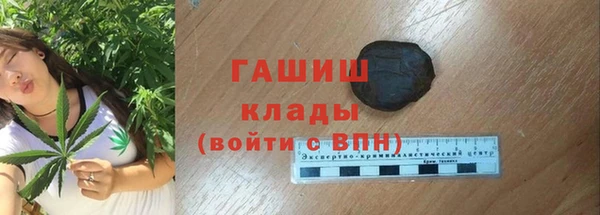 метадон Галич