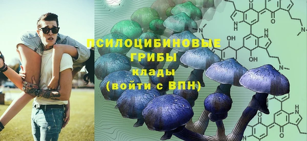 соль ск Переславль-Залесский