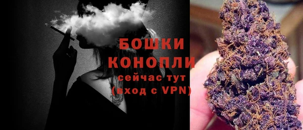 соль ск Переславль-Залесский