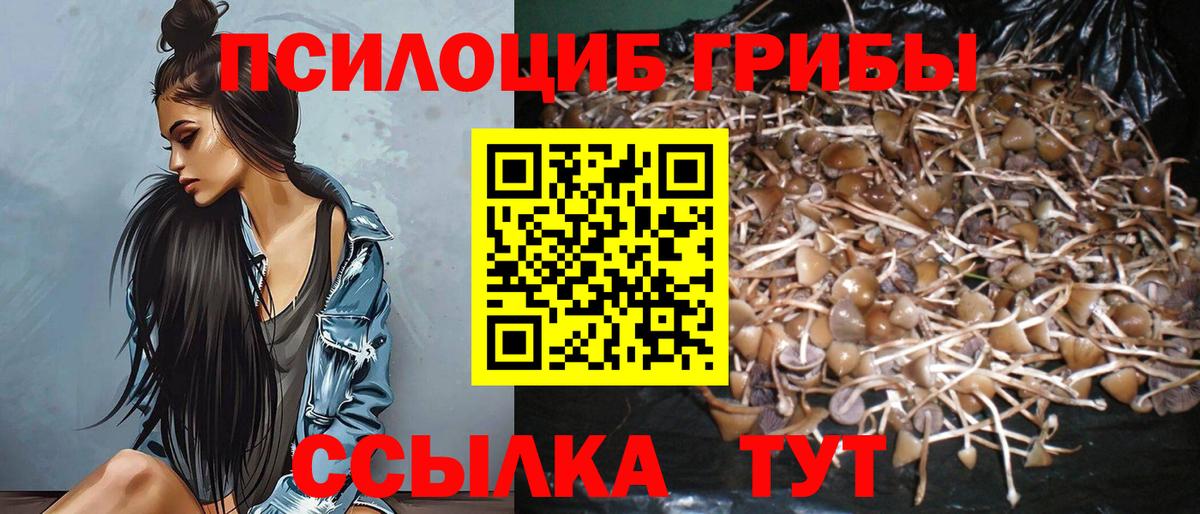 купить наркоту  Вход с VPN  Тюмень  Галлюциногенные грибы ЛСД 
